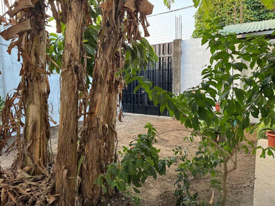 Vila Casa Privada Con Terraza Puerto Maldonado Exteriér fotografie